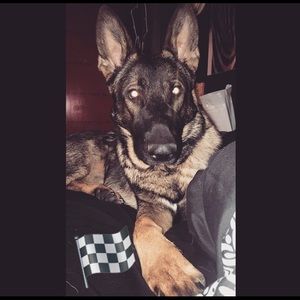 Meet your Posher, Rnje